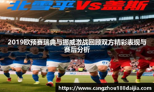 2019欧预赛瑞典与挪威激战回顾双方精彩表现与赛后分析