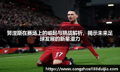 努涅斯在赛场上的崛起与挑战解析，揭示未来足球发展的新星潜力