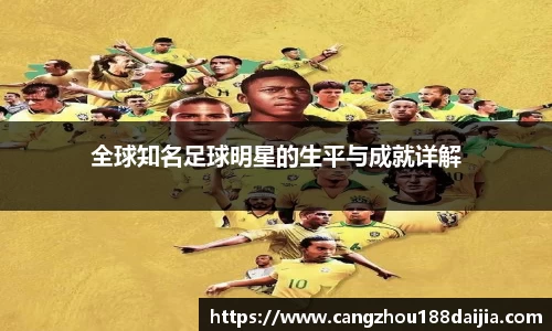 全球知名足球明星的生平与成就详解